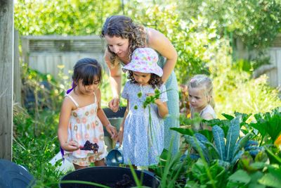 Torbay gardening