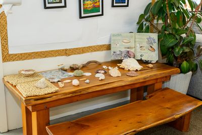 Oaktree shells