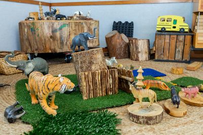 Animals play set up
