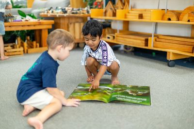 Waimauku reading