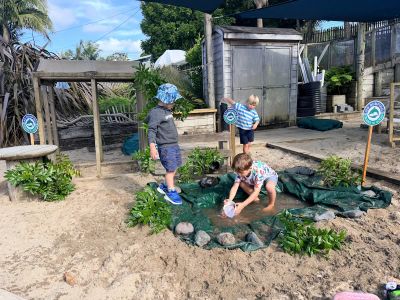 Rangitoto - Sandpit