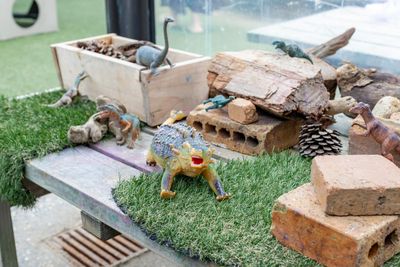 Hobsonville dinosaur